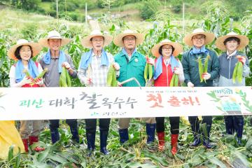 괴산대학찰옥수수 첫 출하 행사(24.7.5.)