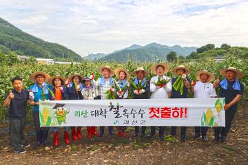 대학찰옥수수 첫출하 행사(23.7.7)