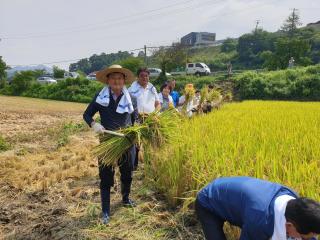 2019. 08. 23. 첫벼베기 행사